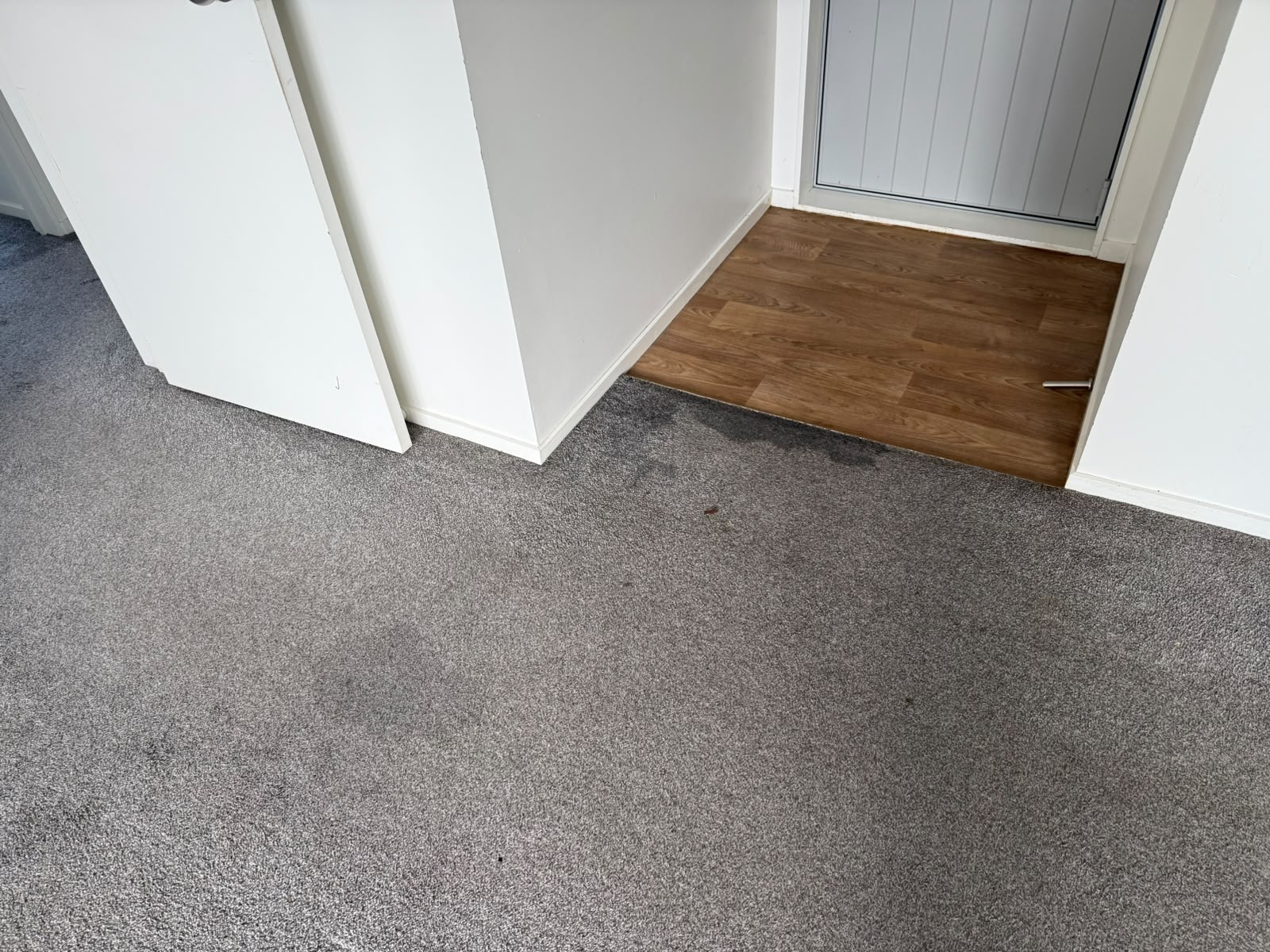Clean transition from new grey carpet to wood-look vinyl plank flooring at a doorway