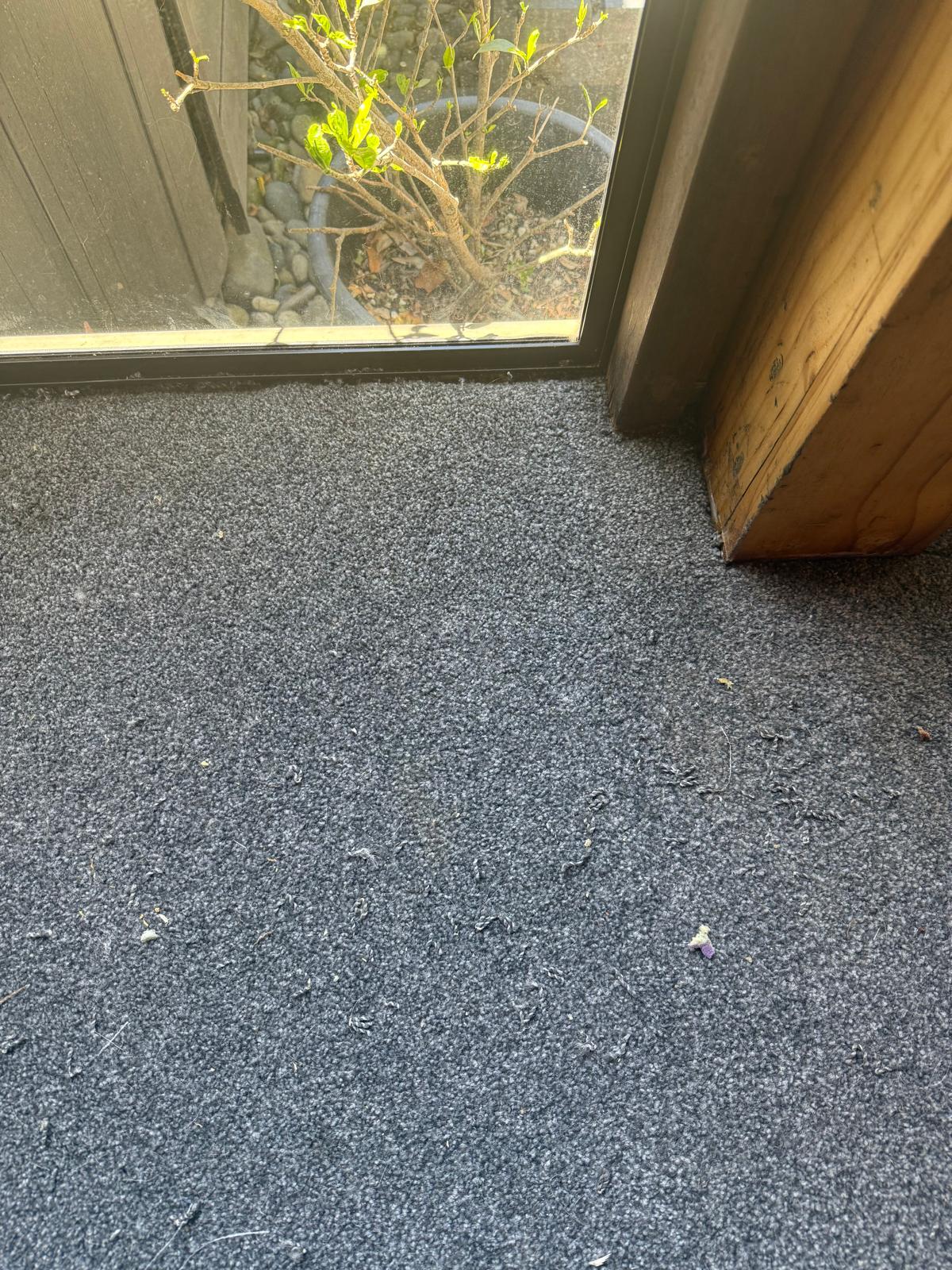 Grey carpet meeting tile cleanly at a glass sliding door with garden visible outside