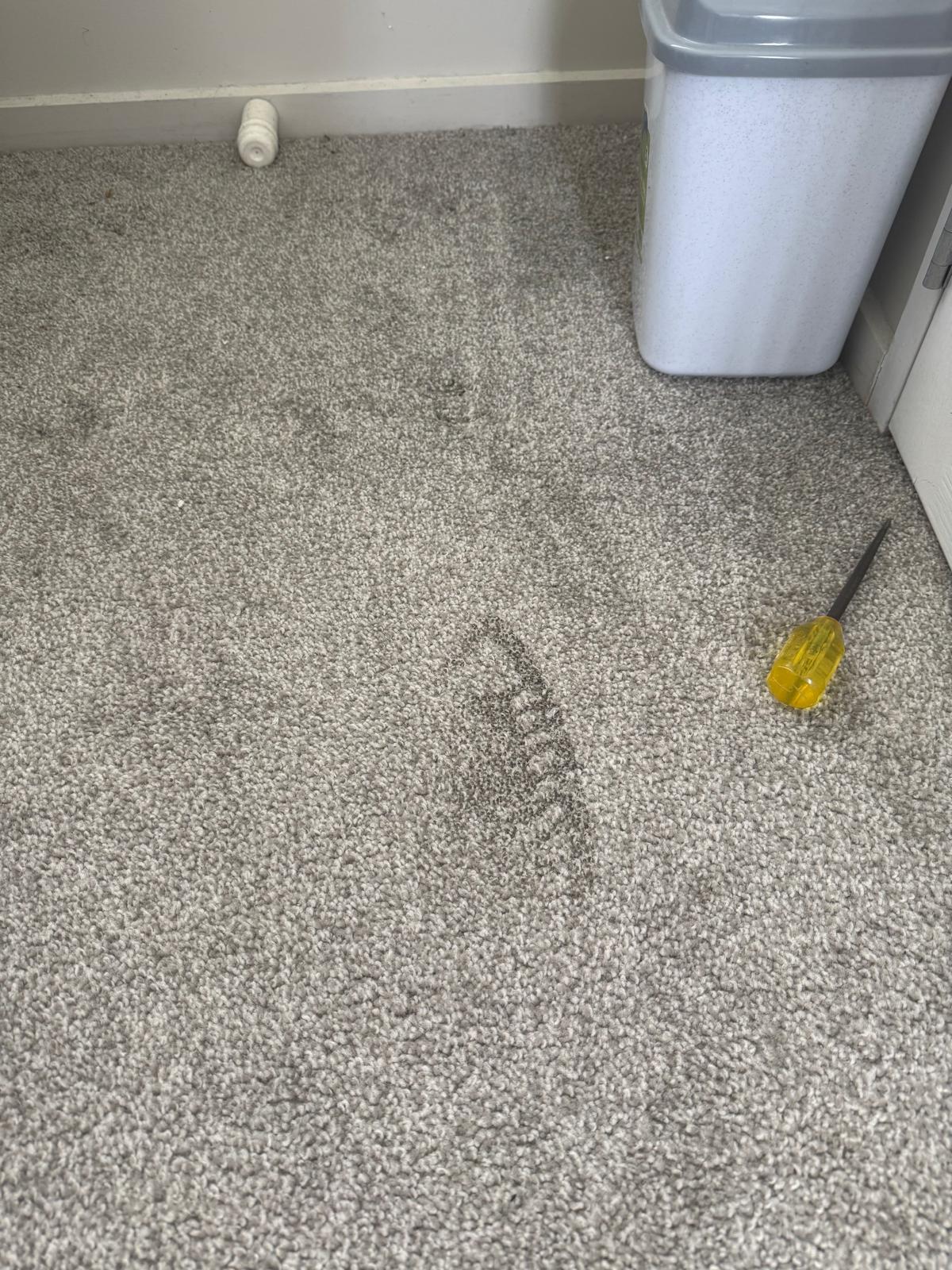 Small singed burn mark on grey carpet beside a rubbish bin