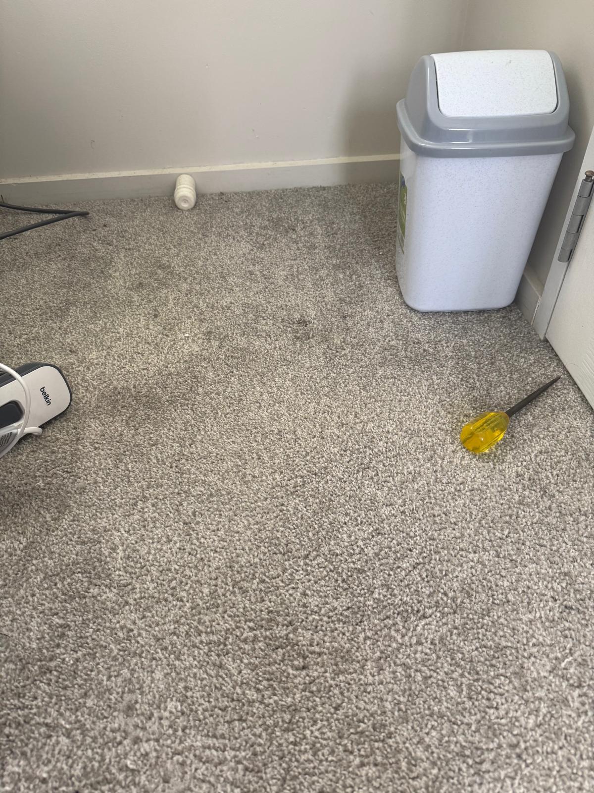 Grey carpet beside a storage bin, stain treated and lifted