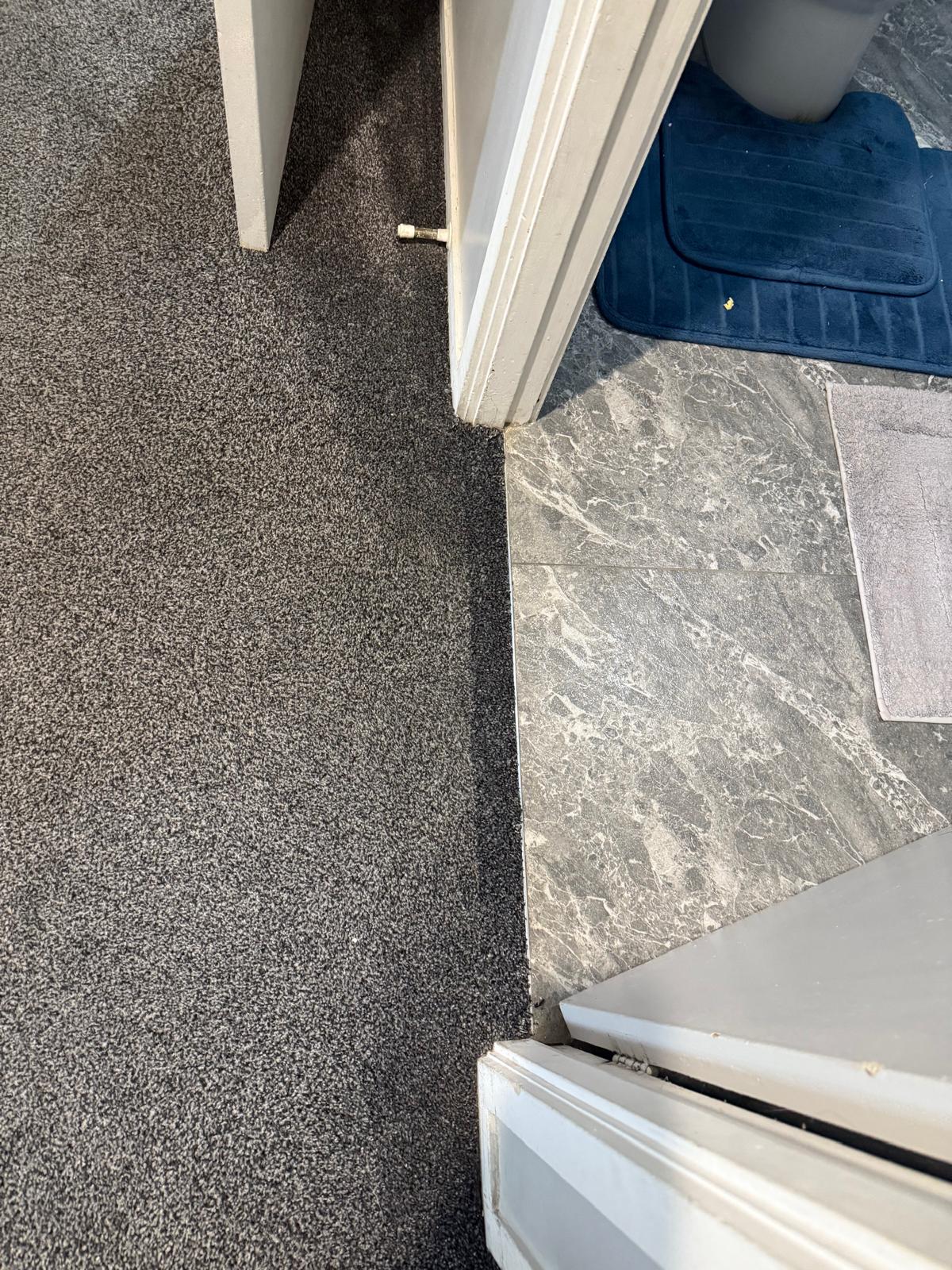 Clean join between grey carpet and grey marble tile at a bathroom doorway