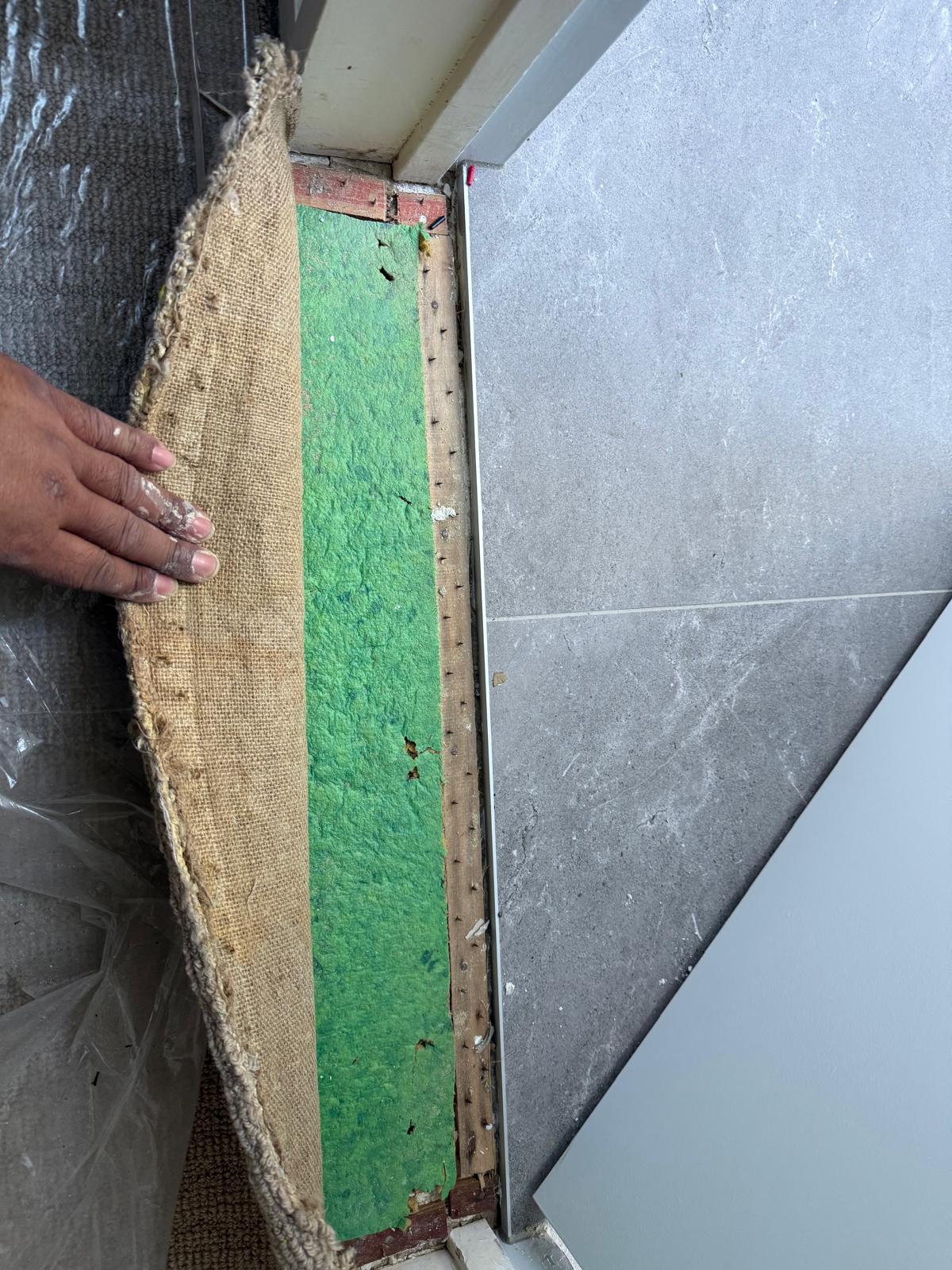Carpet edge folded back showing jute backing, green underlay and timber smoothedge gripper strip